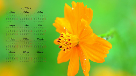 1236354 (a): :1920x1080